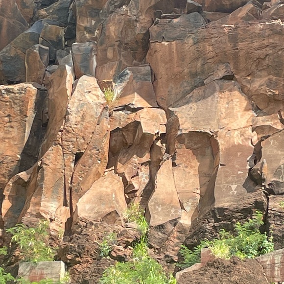 Meet your Posher, Leilani - Picture 14 of 15